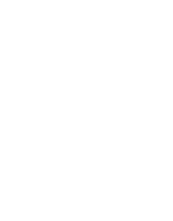 icon-fire